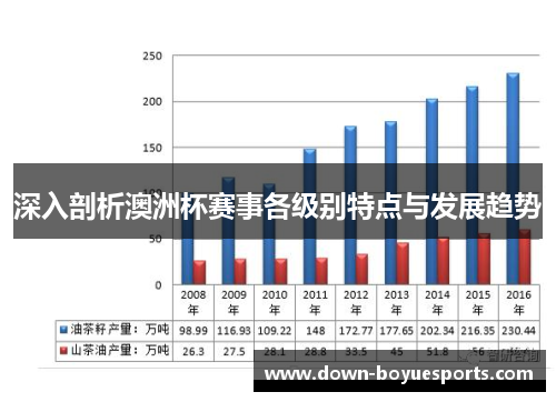 深入剖析澳洲杯赛事各级别特点与发展趋势