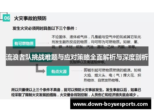 流浪者队挑战难题与应对策略全面解析与深度剖析